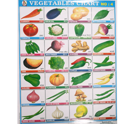 LAMINATED EDUCATIONAL CHARTS