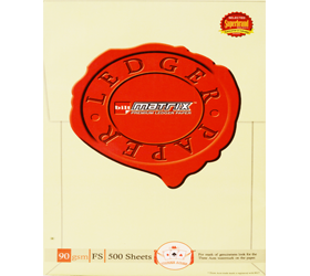 LEDGER PAPER-FS