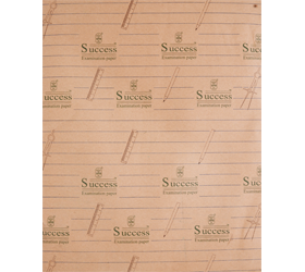 SPB SUCCESS Examination Paper