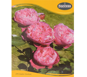 SUCCESS FLEXI 80PAGES S/S R