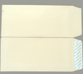 MAIL FAST KRAFT PEEL & SEEL 90 GSM 9.0 X 4.0 INCHES