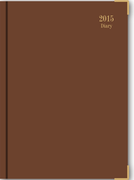 BUSINESS – EXE – SD – BROWN